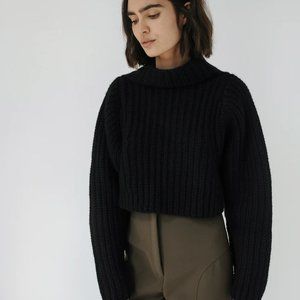 Shaina Mote Cropped Turtleneck, Black